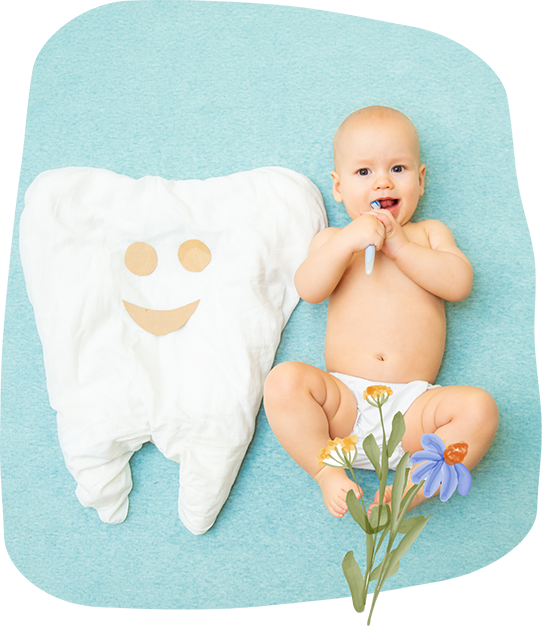 Baby holding a toothbrush next to a tooth shaped blanket