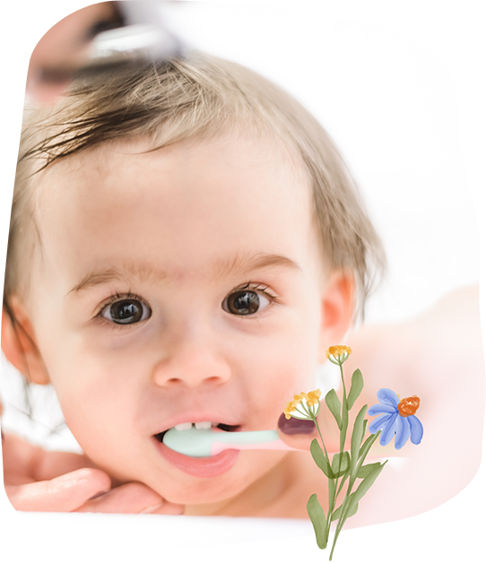 Toddler having their teeth brushed