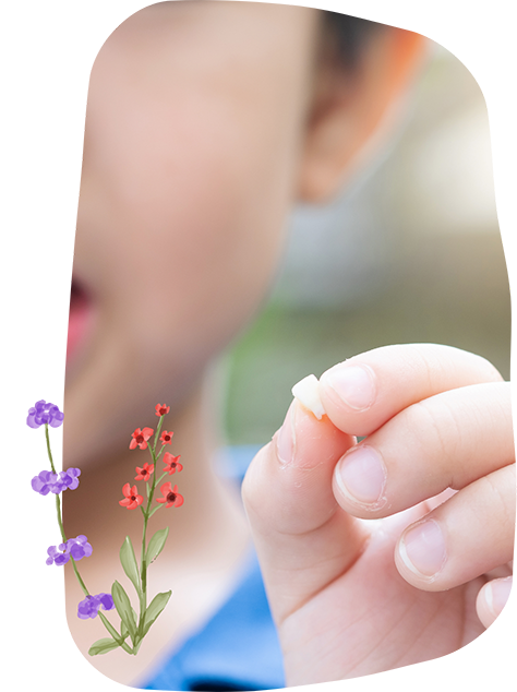 Child holding a lost tooth